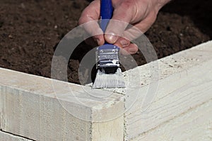 Man painting a raised vegetable garden bed wooden frame