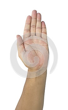 Man palm hand isolated white background