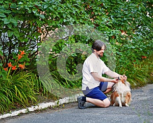 Man in the park with his pet Sheltie dog breed.