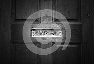 Man peeping through letterbox