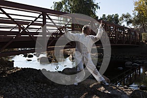 Man Performing Tai Chi