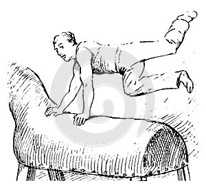 Vaulting horse vintage illustration