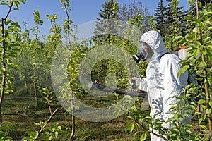 Man in Personal Protective Equipment Spraying Fruit Orchard With Backpack Atomizer Sprayer