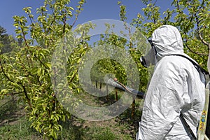 Man in Personal Protective Equipment Spraying Orchard With Backpack Atomizer Sprayer