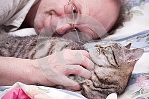 Man pets a Scottish-straight gray cat