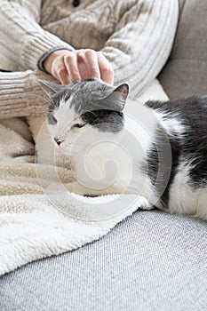 Man petting a black and white cat