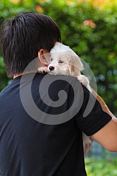 Man petting cute maltese puppy on his shoulder