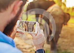 Muž fotografovanie dieťa slon jeho mobilný telefón 