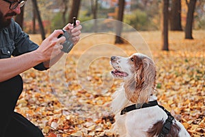 Man photographing his dog in a park.
