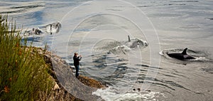 Man Photographing Whales