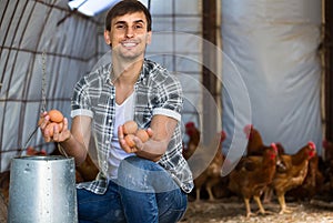 Man picking fresh eggs in chicken house