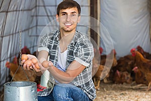 Man picking fresh eggs in chicken house