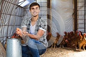 man picking fresh eggs in chicken house