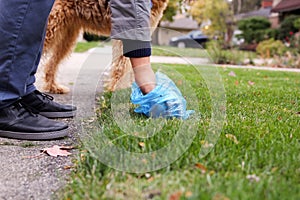 Man Picking up / cleaning up dog droppings. photo