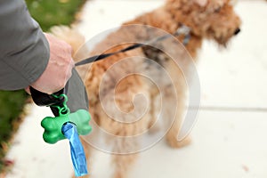 Man Picking up / cleaning up dog droppings.