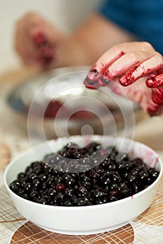 Man pitting wild cherries