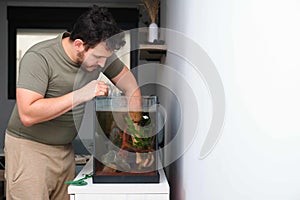 Man planting new aquarium plant, cryptocoryne x willisii.