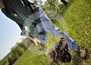 Man planting tree