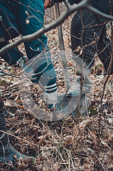 Man plants a small tree, hands holds shovel digs the ground, nature, environment and ecology concept