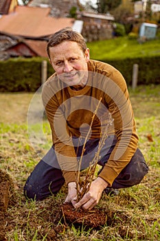 Man plants tree in the garden. Nature, environment and ecology concept.