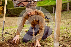 Man plants tree in the garden. Nature, environment and ecology concept.