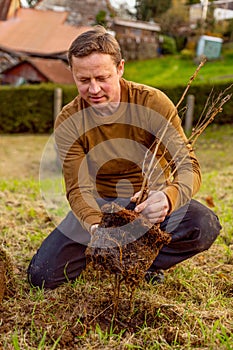 Man plants tree in the garden. Nature, environment and ecology concept.