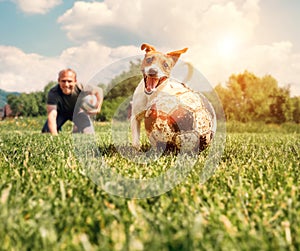 Man play with dog on the green meadow