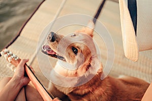 A man play guitar music song near the sea sunset and try wearing hat in dog head