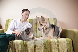 Man with playful dog and cat on sofa at home