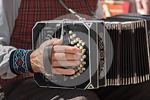 Man playing the bandoneon traditional tango instrument