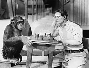Man playing chess with monkey photo