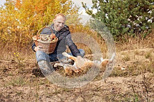 Man playing with his dog on autumn forest glade