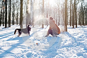 Man playing with siberian husky dog in snowy park