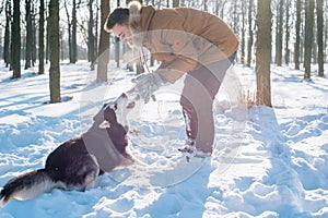 Man playing with siberian husky dog in snowy park