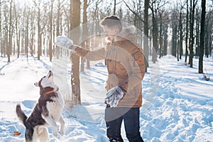 Man playing with siberian husky dog in snowy park