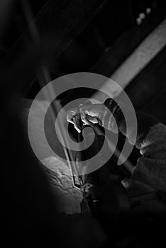 Man playing a violin in a shadowy room with focus to his fingers