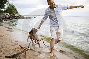 A man plays with his dog on the beach. The brown boxer jumps for a stick, jumps on the water and near the owner. Active games with