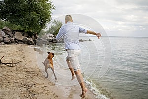 A man plays with his dog on the beach. The brown boxer jumps for a stick, jumps on the water and near the owner. Active games with