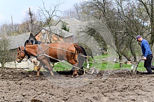 Man ploughing the field with horses