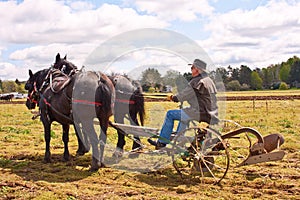 Man Plowing With Draft Horses