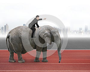 Man with pointing finger gesture riding on walking elephant