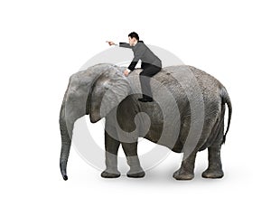 Man with pointing finger gesture riding on walking elephant