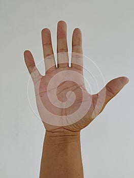 Man pointing at something on white background, closeup of hand