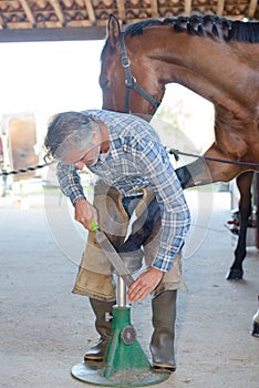 man polishing hoofs