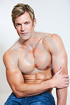 Man, portrait and muscle on studio background or serious confidence, bodybuilder or chest. Male person, model or face