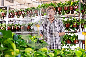 Man posing with pothos tutor plant at flower shop