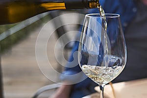 Man pouring wine into glass in a restaurant. Waiter serving drink. Wine tasting concepts