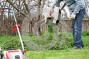 Man pours out of the trimmed grass under a tree to fertilize the soil