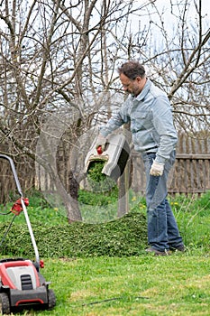 Man pours out of the trimmed grass under a tree to fertilize the soil photo