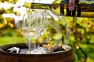 A man pours white wine into glasses on a barrel